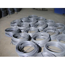 Hot Rolled High Quality Titanium Alloy Wire